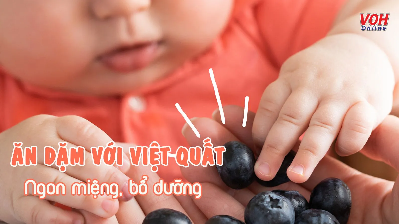 4 điều lý giải vì sao mẹ nên mua việt quất cho bé ăn dặm