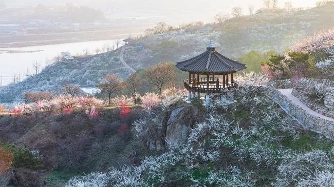 Jeollanam-do – Vùng đất giao thoa Truyền thống – Hiện đại nằm ở phía Tây Nam, Hàn Quốc