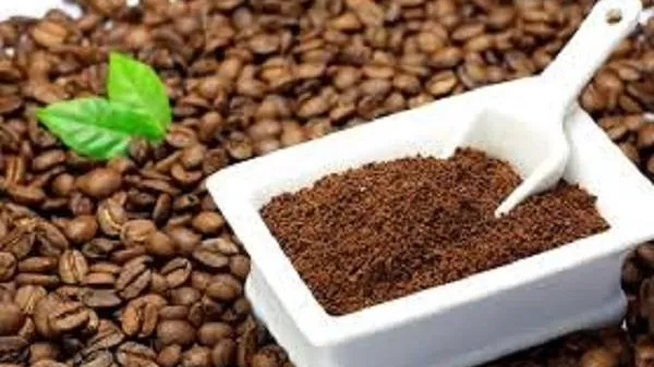 Giá cà phê hôm nay 2/10: Bật tăng 600 đồng/kg, arabica đạt mức cao mới