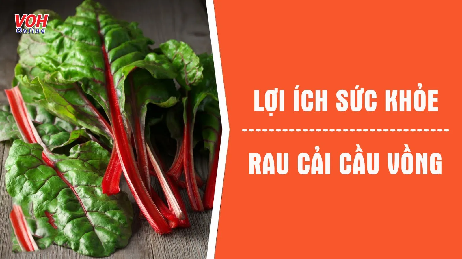 10 lý giải cho thắc mắc ăn cải cầu vồng có tác dụng gì với cơ thể