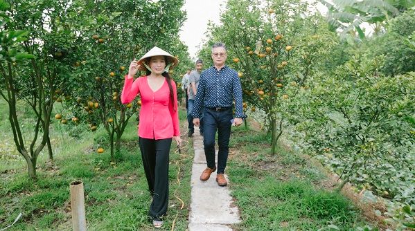 Khai trương điểm tham quan vườn quýt hồng lớn nhất Lai Vung – Đồng Tháp