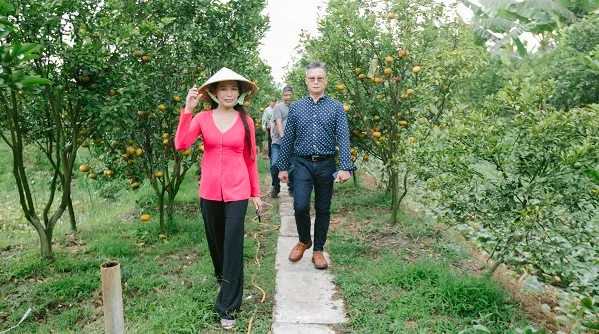 Khai trương điểm tham quan vườn quýt hồng lớn nhất Lai Vung – Đồng Tháp