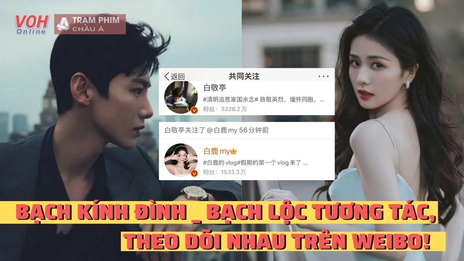 Hot hot hot! Bạch Lộc và Bạch Kính Đình tương tác theo dõi Weibo của nhau