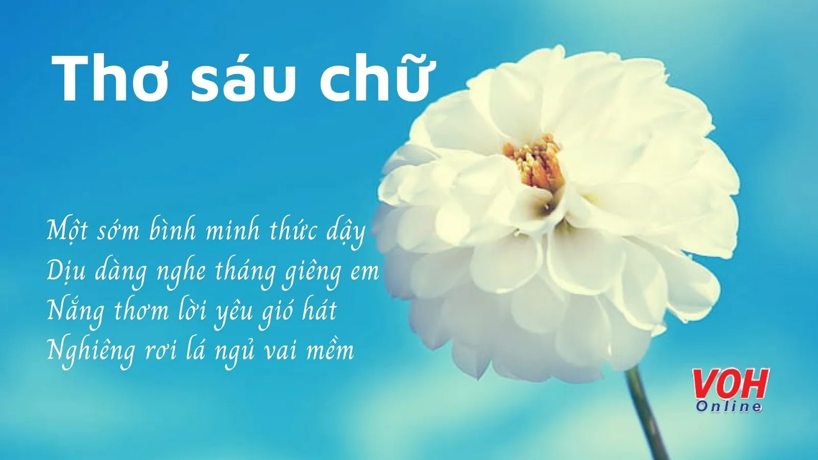 Thơ sáu chữ - Tuyển tập những bài thơ sáu chữ hay và ý nghĩa nhất