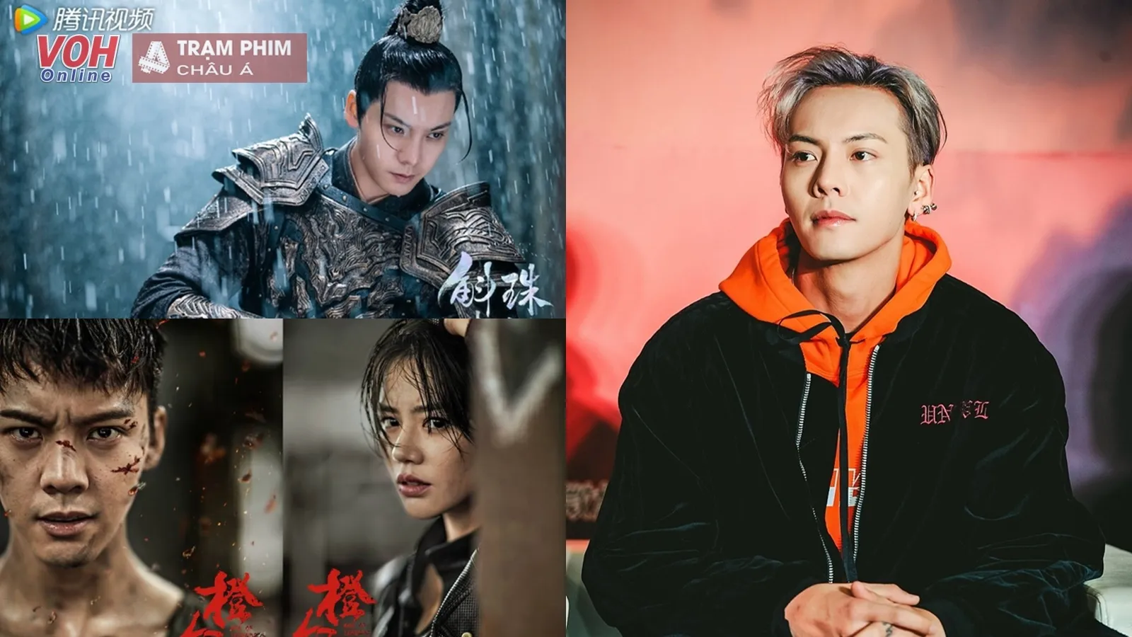 Trần Vỹ Đình tiểu sử Thiếu gia nhà giàu và hành trình trở thành ngôi sao