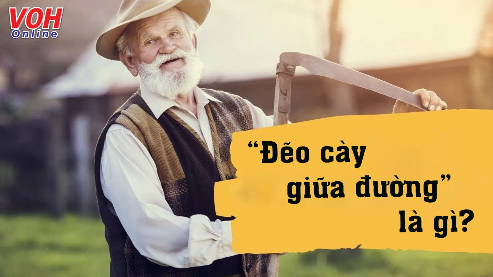 Giải thích ý nghĩa thành ngữ “Đẽo cày giữa đường” ngụ ý điều gì?