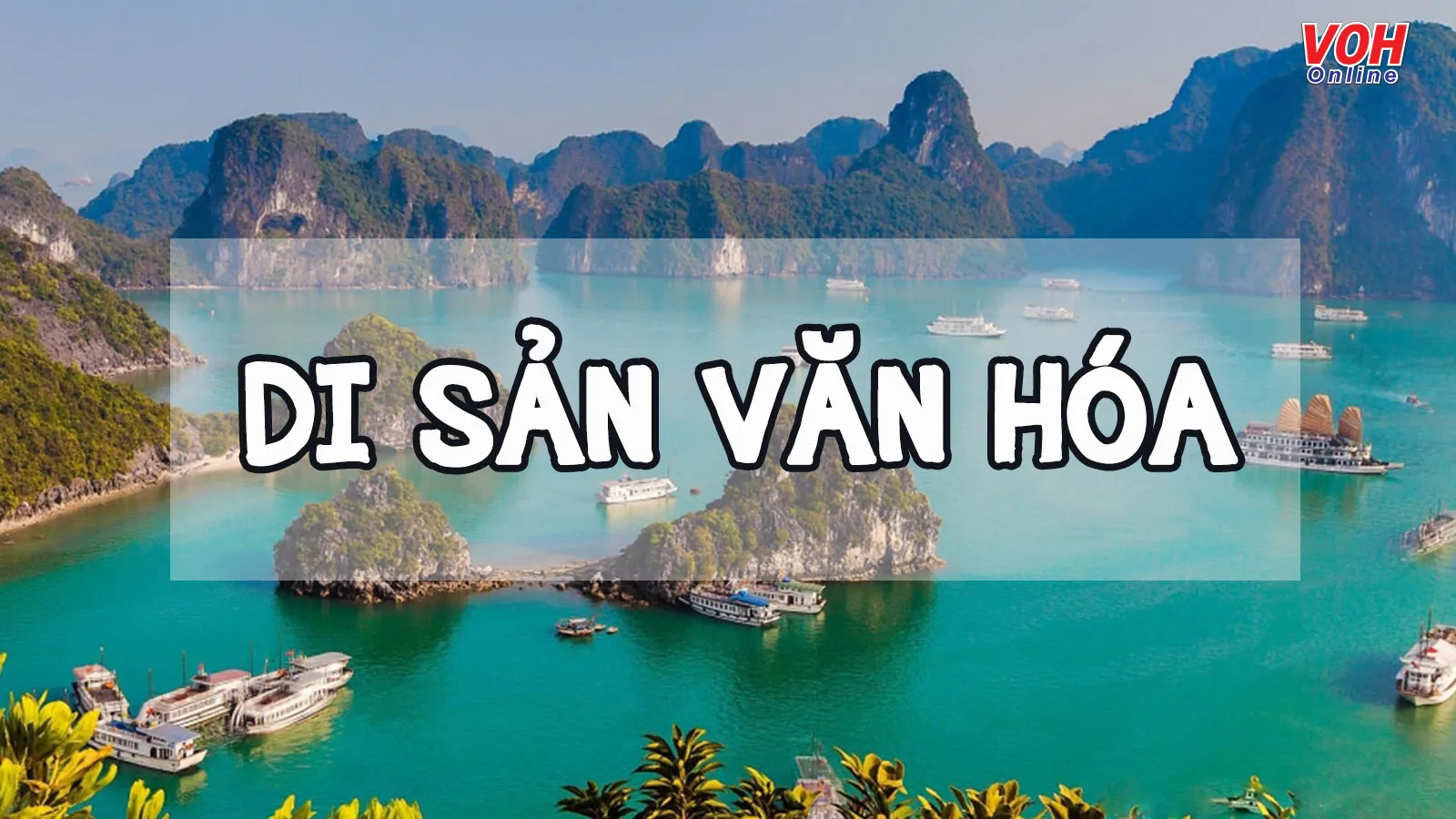 Di sản văn hóa là gì? Di sản văn hóa Việt Nam bao gồm những loại nào?