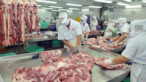 Giá heo hơi hôm nay 20/8: Tăng từ 1.000 - 3.000 đồng/kg