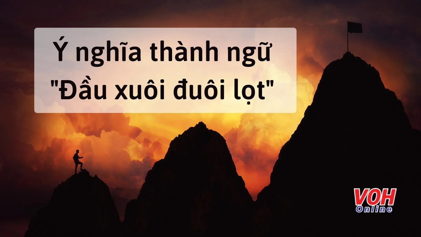 Giải thích ý nghĩa thành ngữ ‘Đầu xuôi đuôi lọt’ muốn nói điều gì?