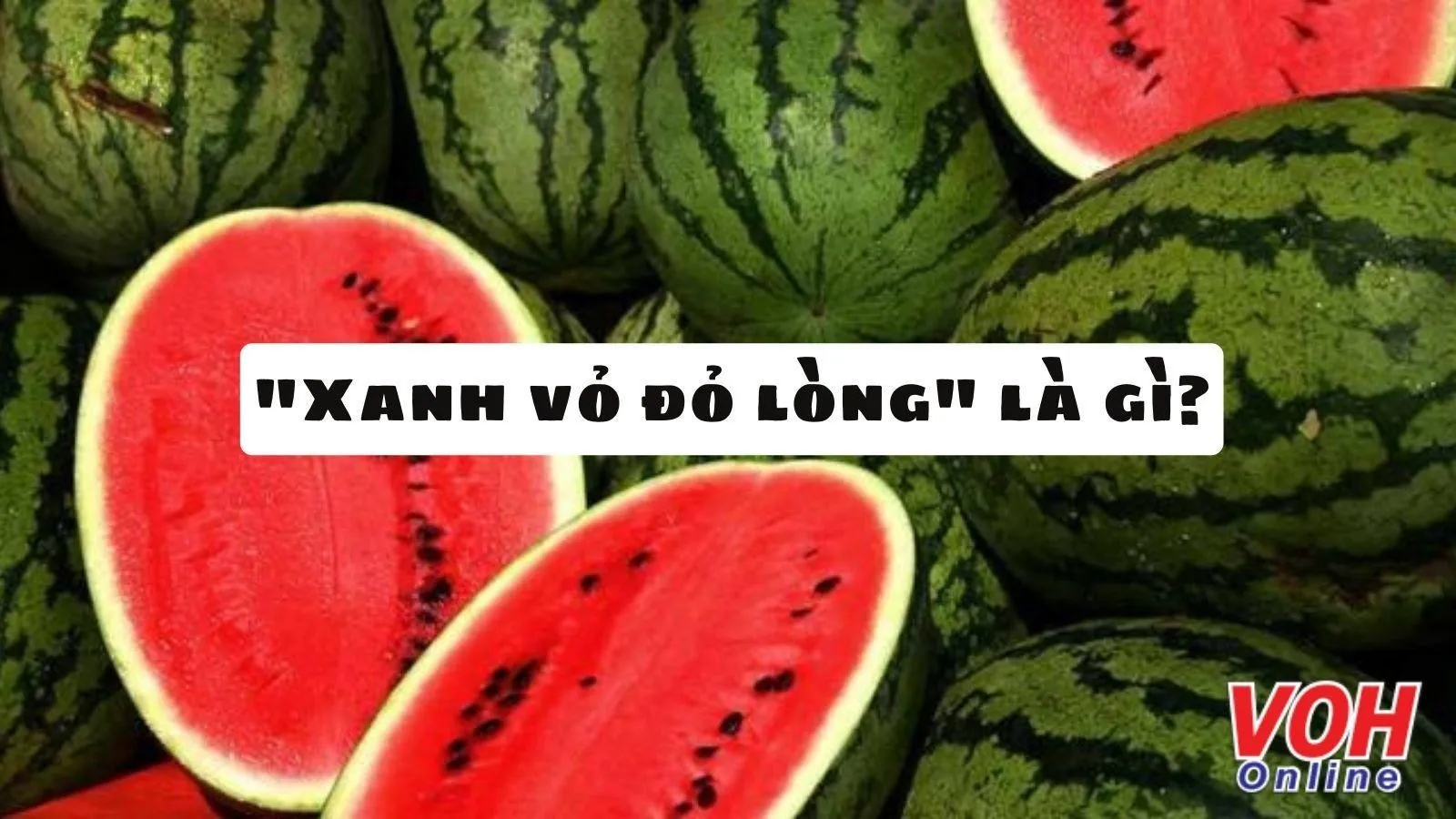 Giải thích ý nghĩa thành ngữ ‘Xanh vỏ đỏ lòng’ và cách sử dụng trong cuộc sống