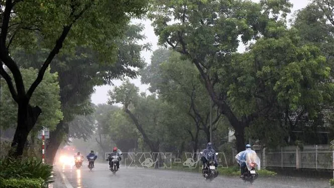 Dự báo thời tiết hôm nay 8/2/2023: miền Bắc có mưa, miền Nam nắng nóng