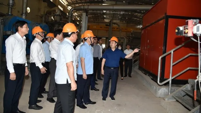 Đề xuất chấm dứt dự án Nhà máy bột giấy Phương Nam