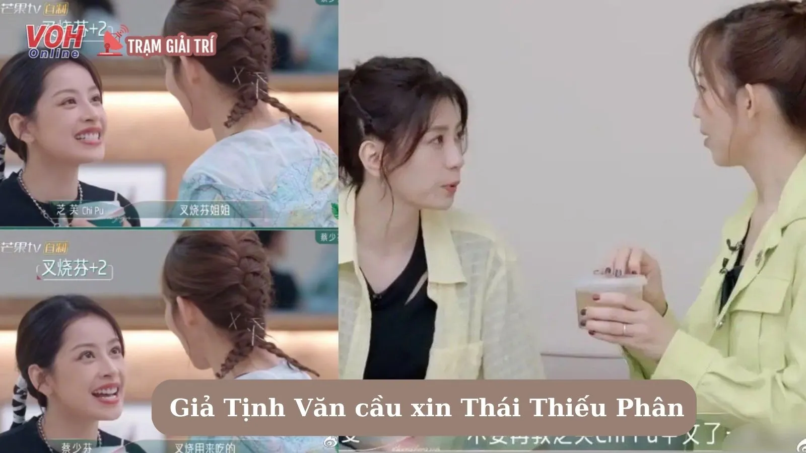 Đây là lý do Giả Tịnh Văn cầu xin Thái Thiếu Phân đừng dạy Chi Pu tiếng Trung nữa