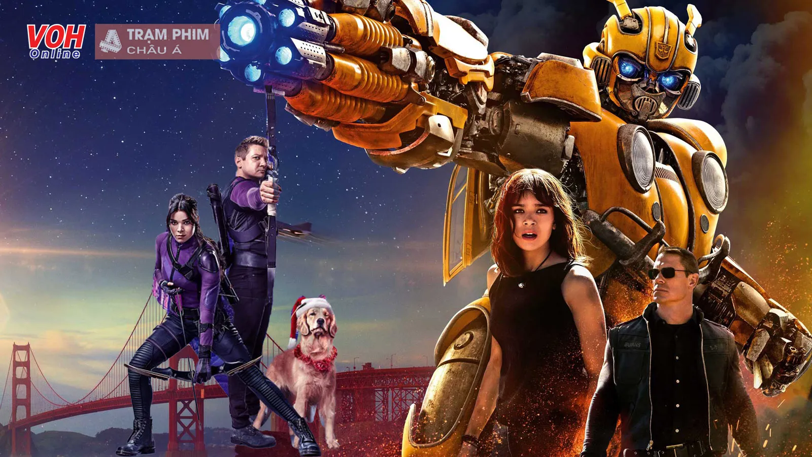 15 phim hay nhất của nàng Hawkeye Hailee Steinfeld