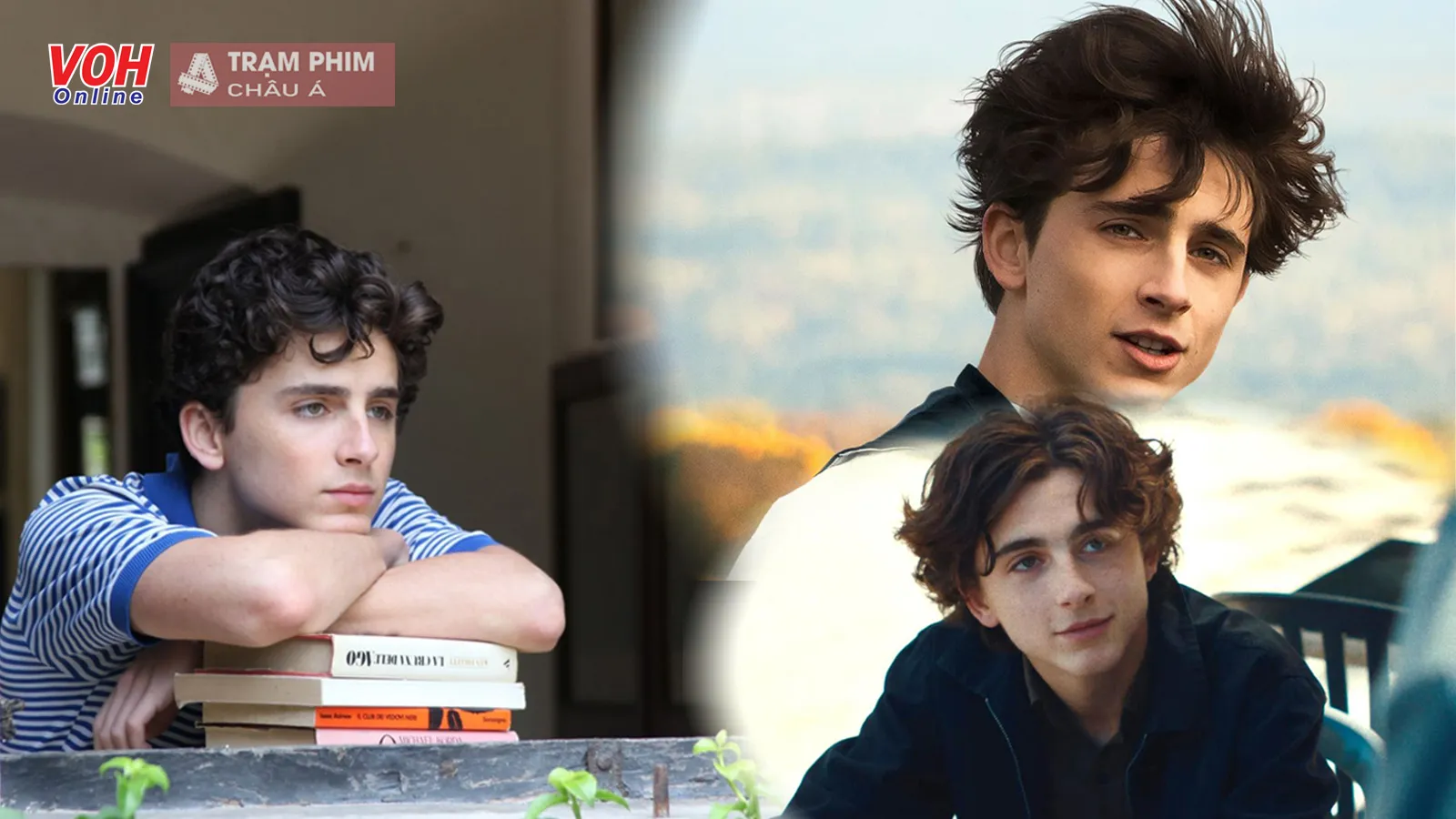 Top 15 phim hay nhất của chàng thơ Timothée Chalamet