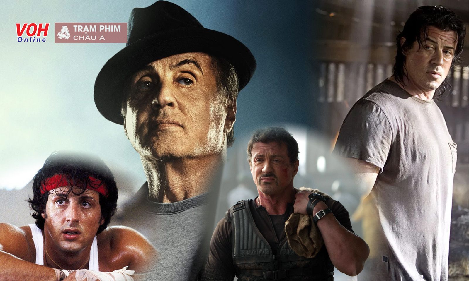 Top 7 phim đáng xem của Sylvester Stallone anh hùng phim hành động