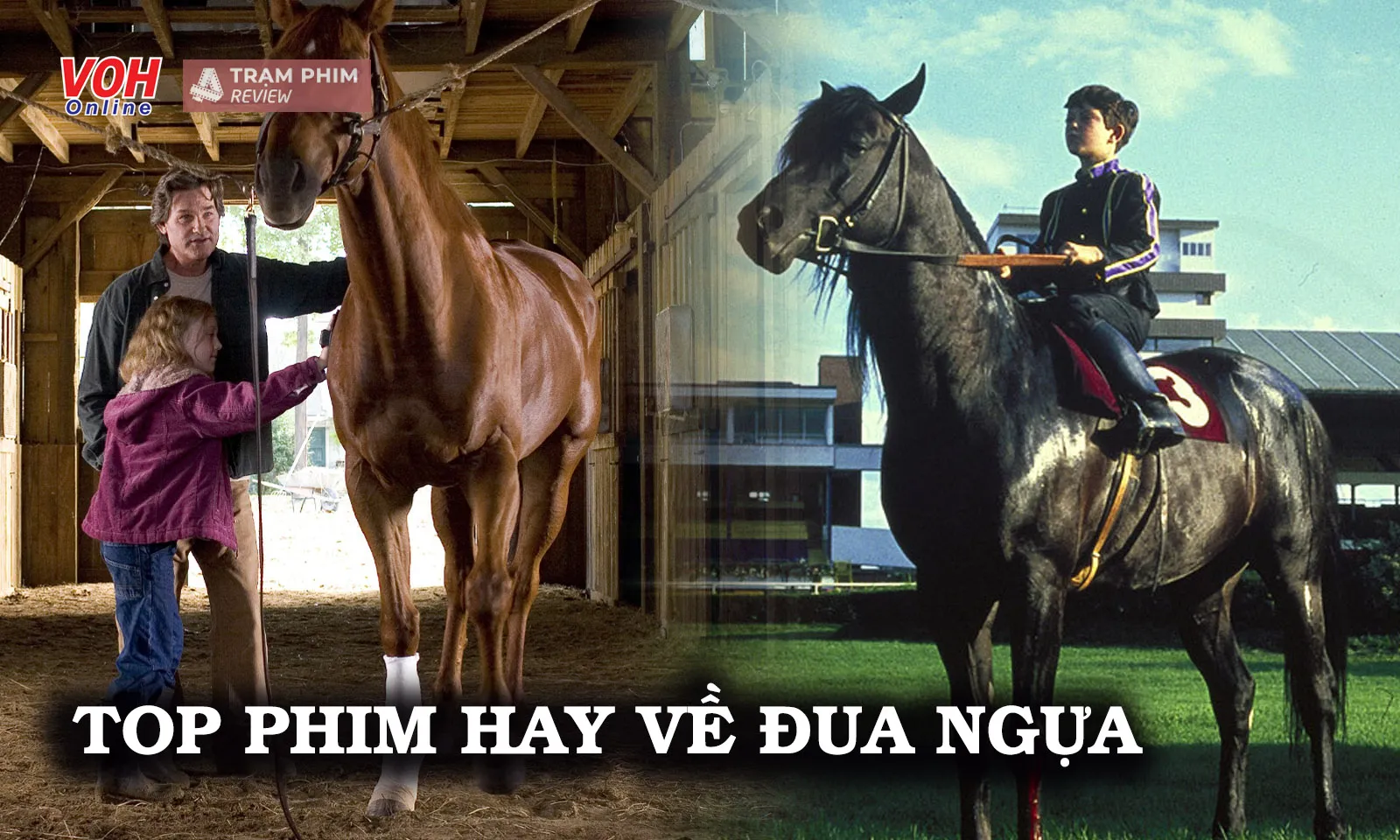 Bỏ túi ngay top 9 phim hay thuộc đề tài đua ngựa