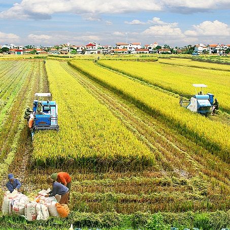 NÔNG THÔN NGÀY MỚI 