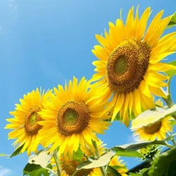Vì đời cần lắm những yêu thương