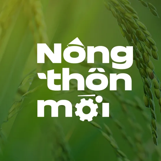  Sản phẩm cà gai leo đạt chuẩn OCOP 4 sao