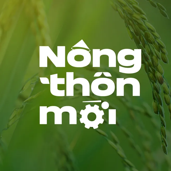 Một số lưu ý về giữ ẩm cho vườn cây mùa nắng nóng