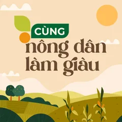 Cùng nông dân làm giàu