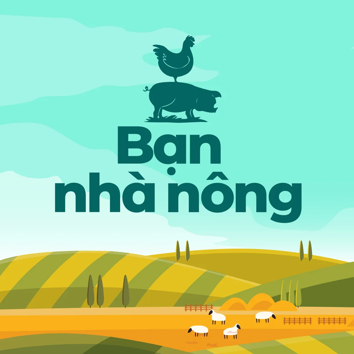Chăm sóc cây dừa làm sao cho hiệu quả nhất, trong thời điểm trái dừa đang có giá như hiện nay