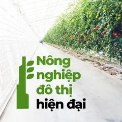 Nông nghiệp đô thị hiện đại