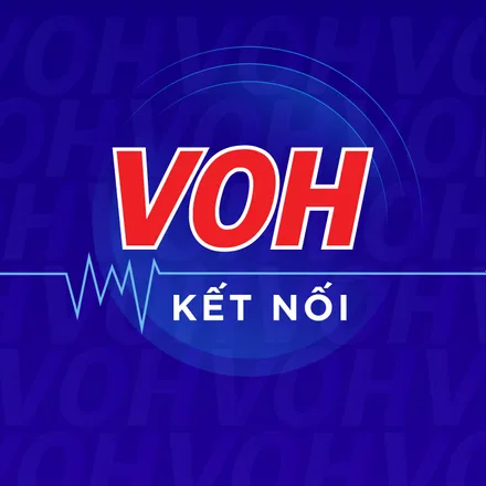 Cảm nhận ngày Nhà báo Việt Nam