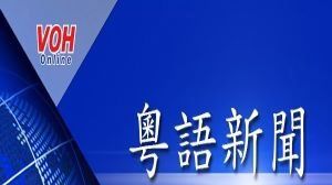 胡志明市开展“即日受理行政手续”行动月