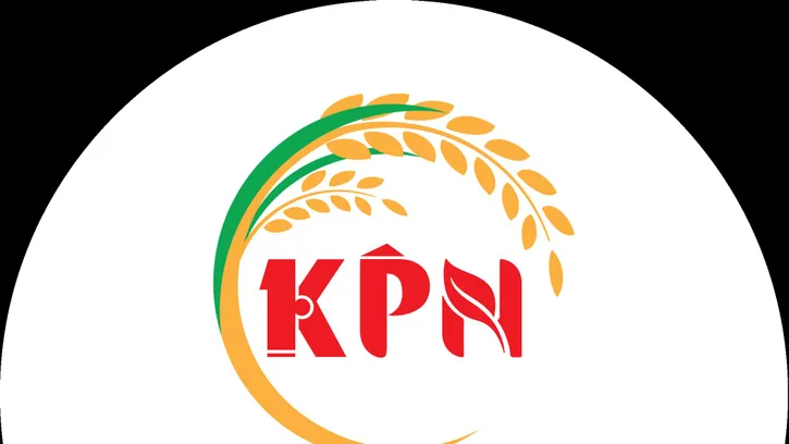 Rau sạch hữu cơ, an toàn cho sức khỏe nhờ phân bón KPN