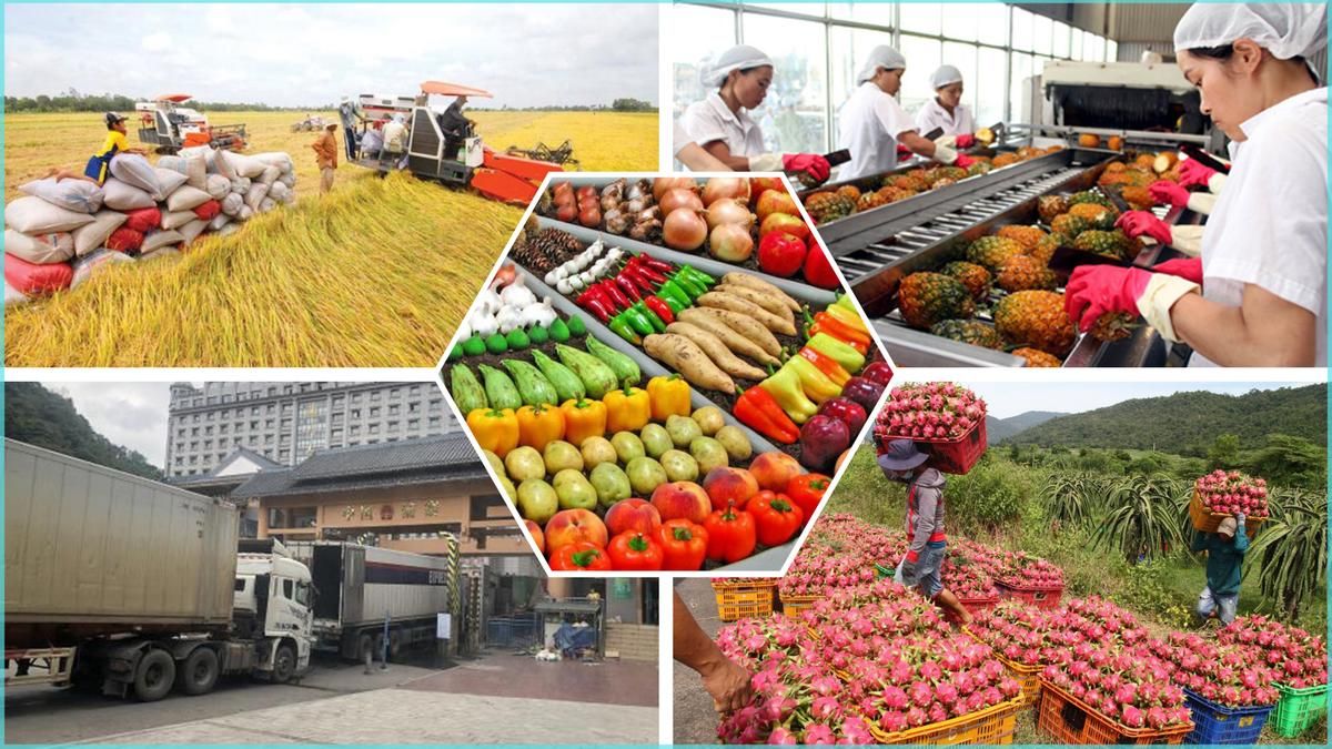 Xây dựng thương hiệu nông sản Việt, cần nỗ lực từ nhiều phía