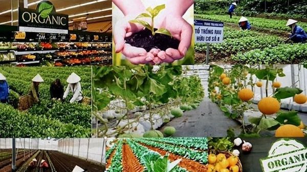 Nâng tầm giá trị nông sản Việt