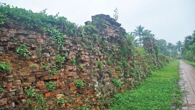 Cỏ non thành cổ