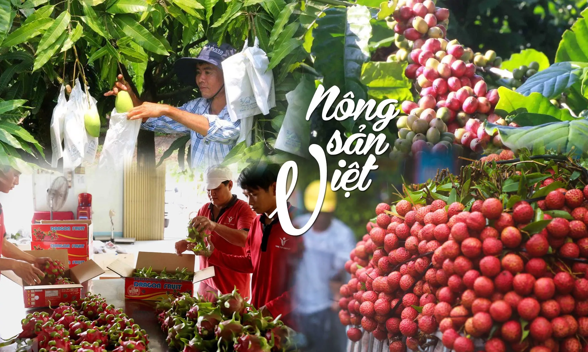 Tận dụng thời cơ cho nông sản Việt