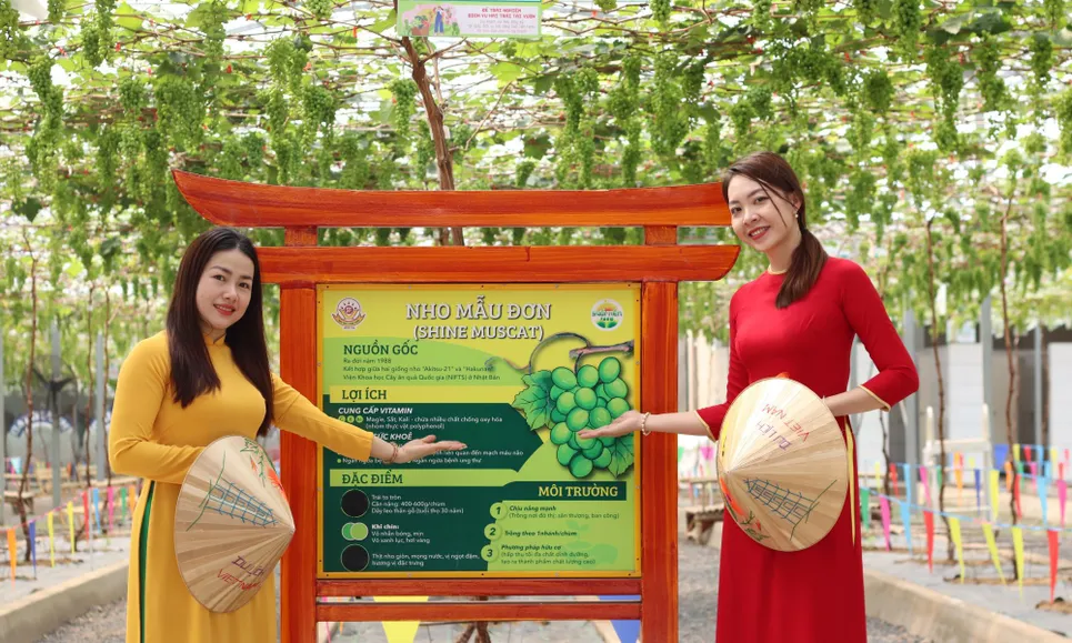 Suối Tiên miễn phí vé cổng cho tất cả du khách nữ mặc áo dài dịp 8-10/3/2024