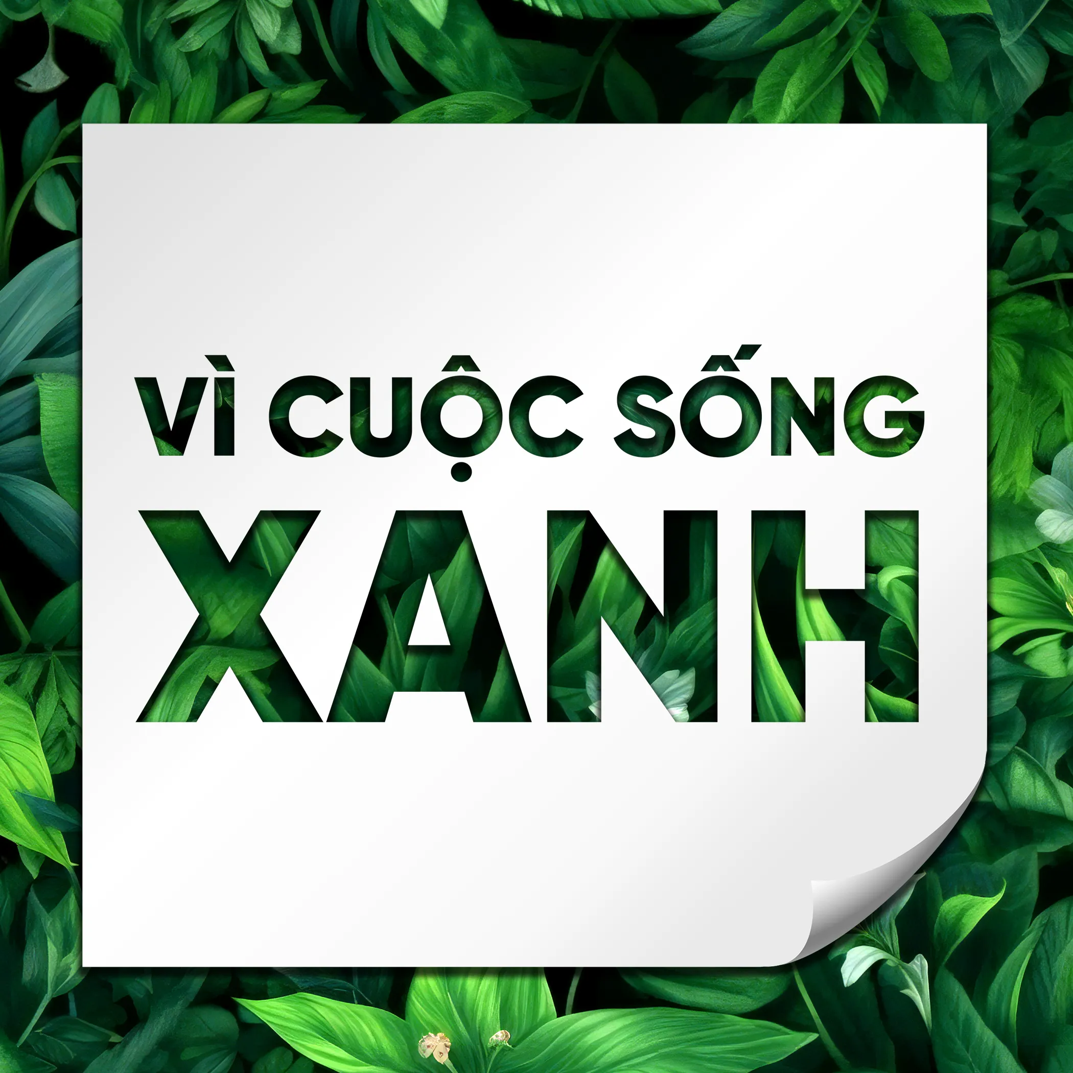 Thị trường tín chỉ carbon - Động lực xây dựng Việt Nam Xanh