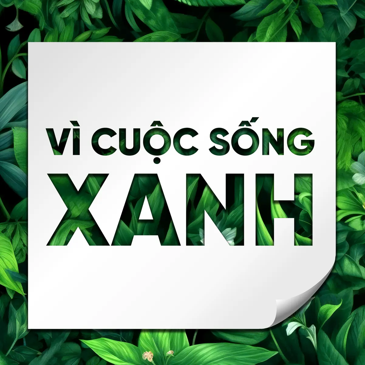  Phỏng vấn bà Chu Thị Kim Thanh, giám đốc vận hành công ty cổ phần tái chế bao bì Pro Việt Nam