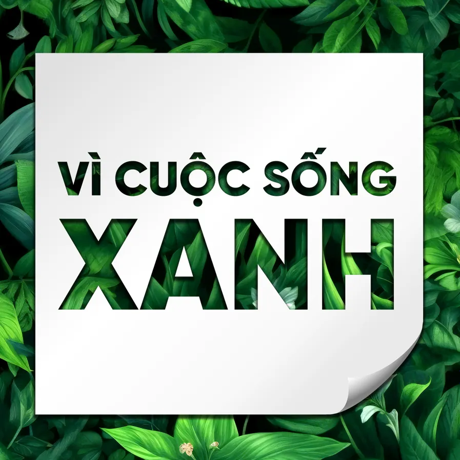 Phỏng vấn ông Phan Bá Đức, chuyên gia tư vấn FPT Digital, tập đoàn FPT 