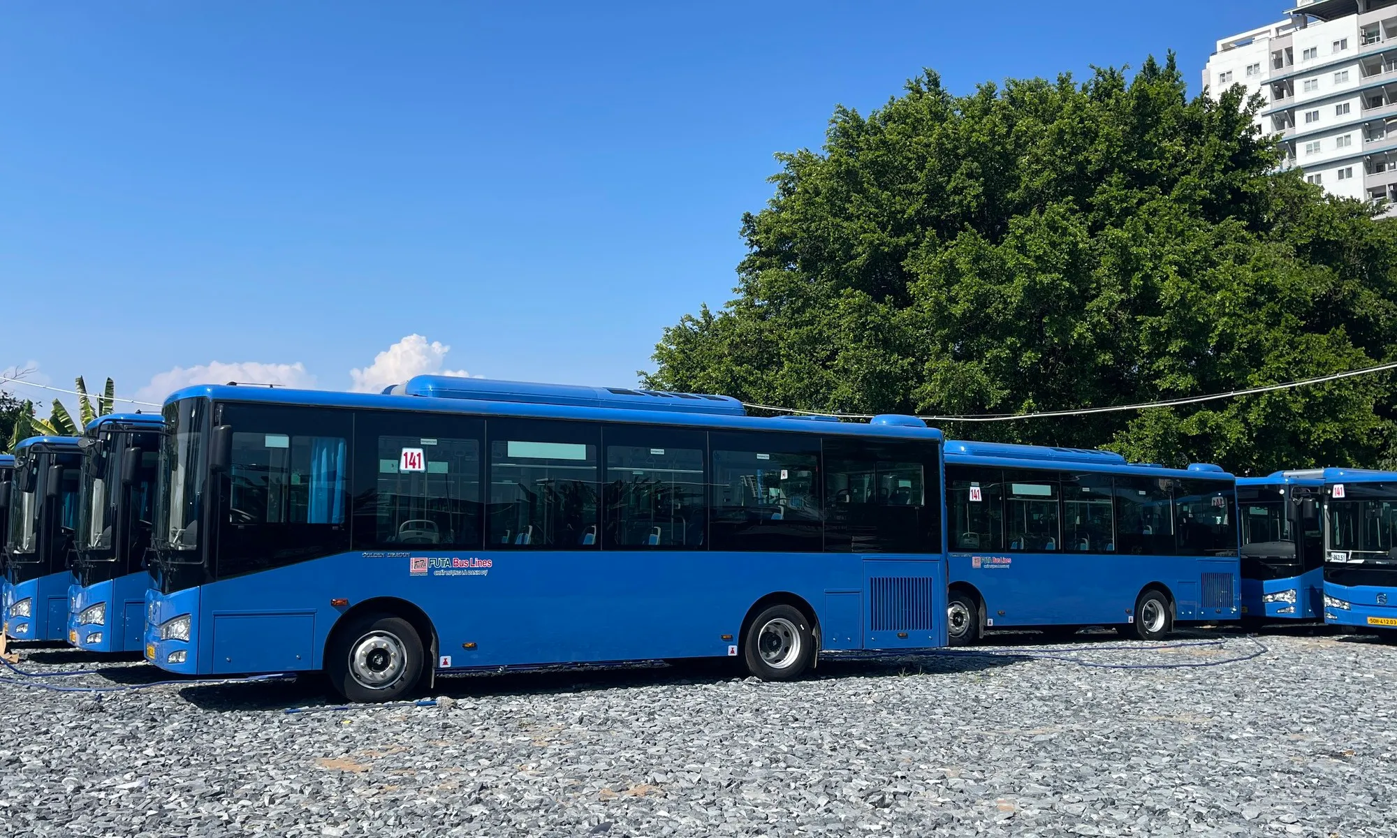 Từ 01/04, 16 tuyến xe buýt ở TP.HCM sẽ hoạt động toàn bộ bằng phương tiện mới