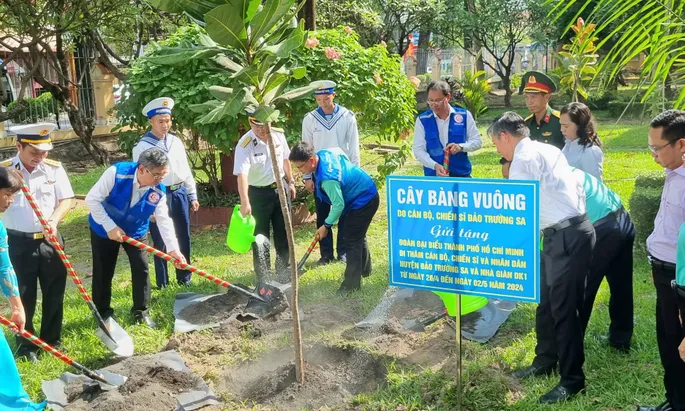 Vun trồng bàng vuông để nuôi dưỡng tình yêu biển đảo