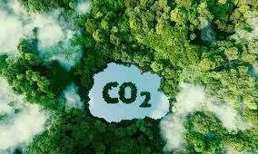Phát triển thị trường carbon tại Việt Nam