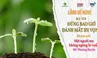 Đừng bao giờ đánh mất hy vọng