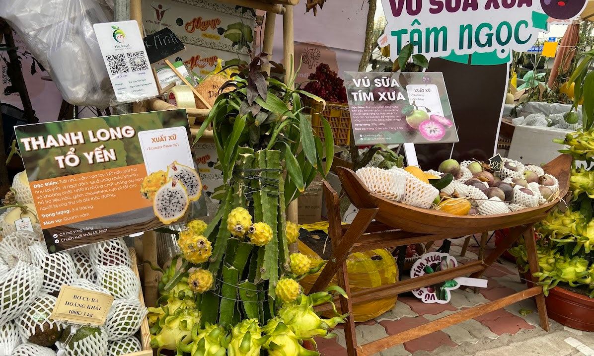 Nhiều trái cây độc, lạ tại Tuần lễ trái cây Trên bến dưới thuyền 