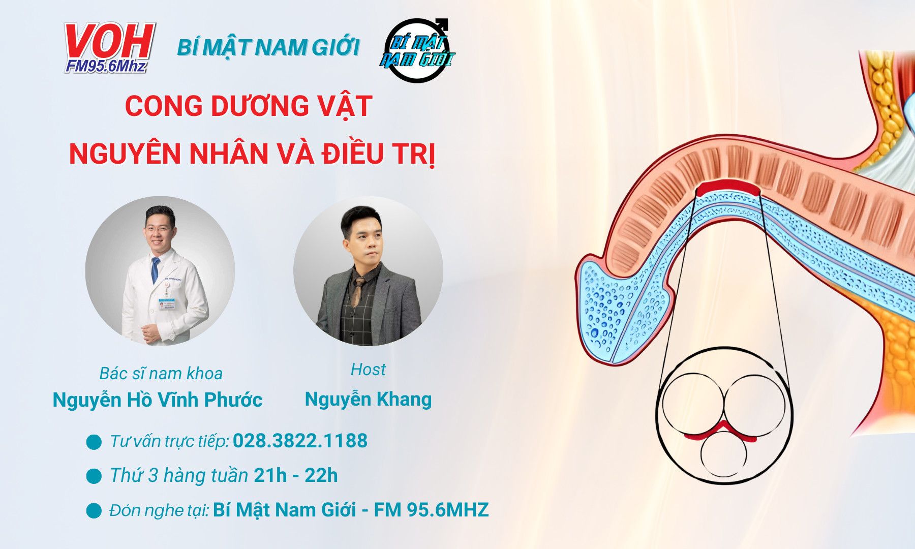 11/06/2024 - Cong dương vật : nguyên nhân và điều trị