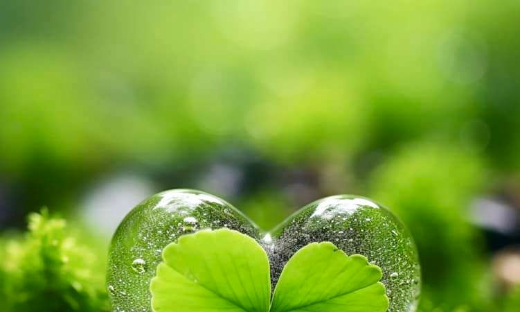 YÊU THƯƠNG THẦM LẶNG