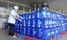 Nước đóng bình có phải luôn sạch, những chỉ tiêu nào để bảo đảm nước đóng bình hợp vệ sinh?