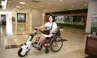 BÔNG HỒNG THÉP MINH NGUYỆT