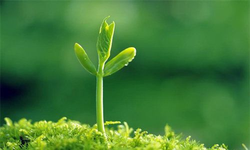 TẤM LÒNG CỦA ĐÔI VỢ CHỒNG 