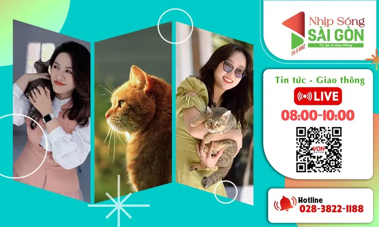 Những nữ &#039;hiệp sĩ&#039; kéo xe hút đinh ở Bình Dương